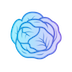xSoft Lab Logo